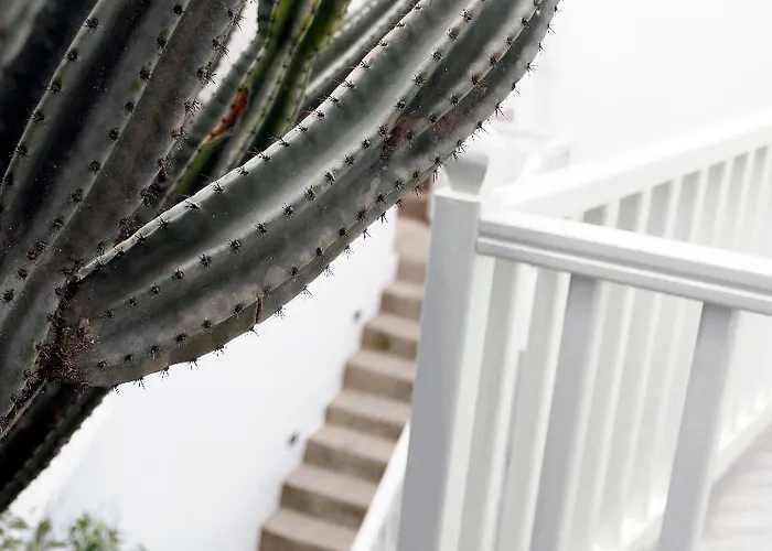 弗莱士精品酒店 Mykonos Town