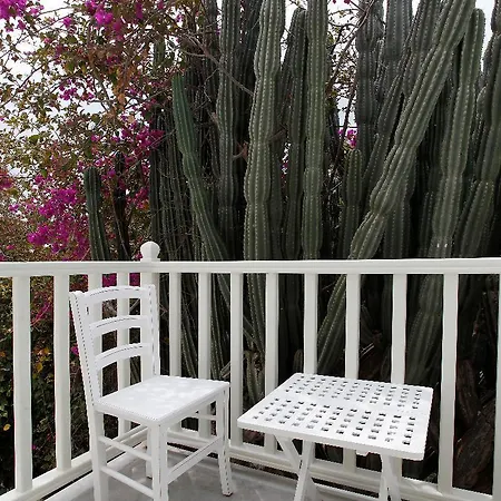 프레쉬 부티크 호텔