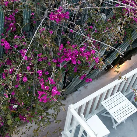 Hotel Fresh Boutique Mykonos Town