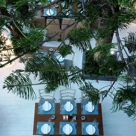 호텔 프레쉬 부티크 3*