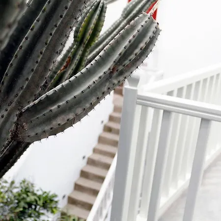 프레쉬 부티크 Mykonos Town