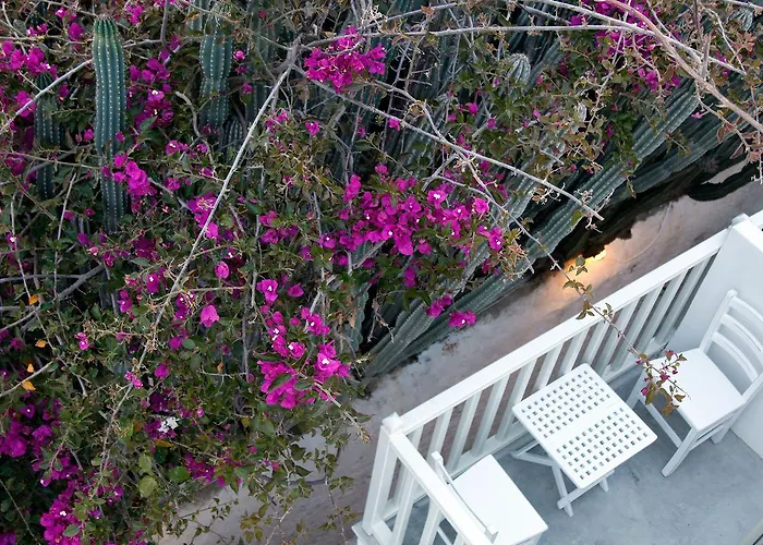 Ξενοδοχείο Fresh Boutique Mykonos Town